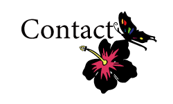 contact_icon